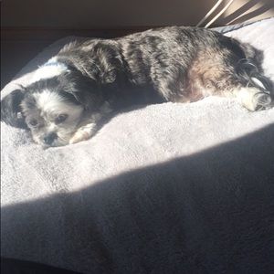 Meet your Posher, Arabeth